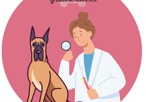 Cómo elegir al veterinario perfecto para mantener a tu gran danés saludable
